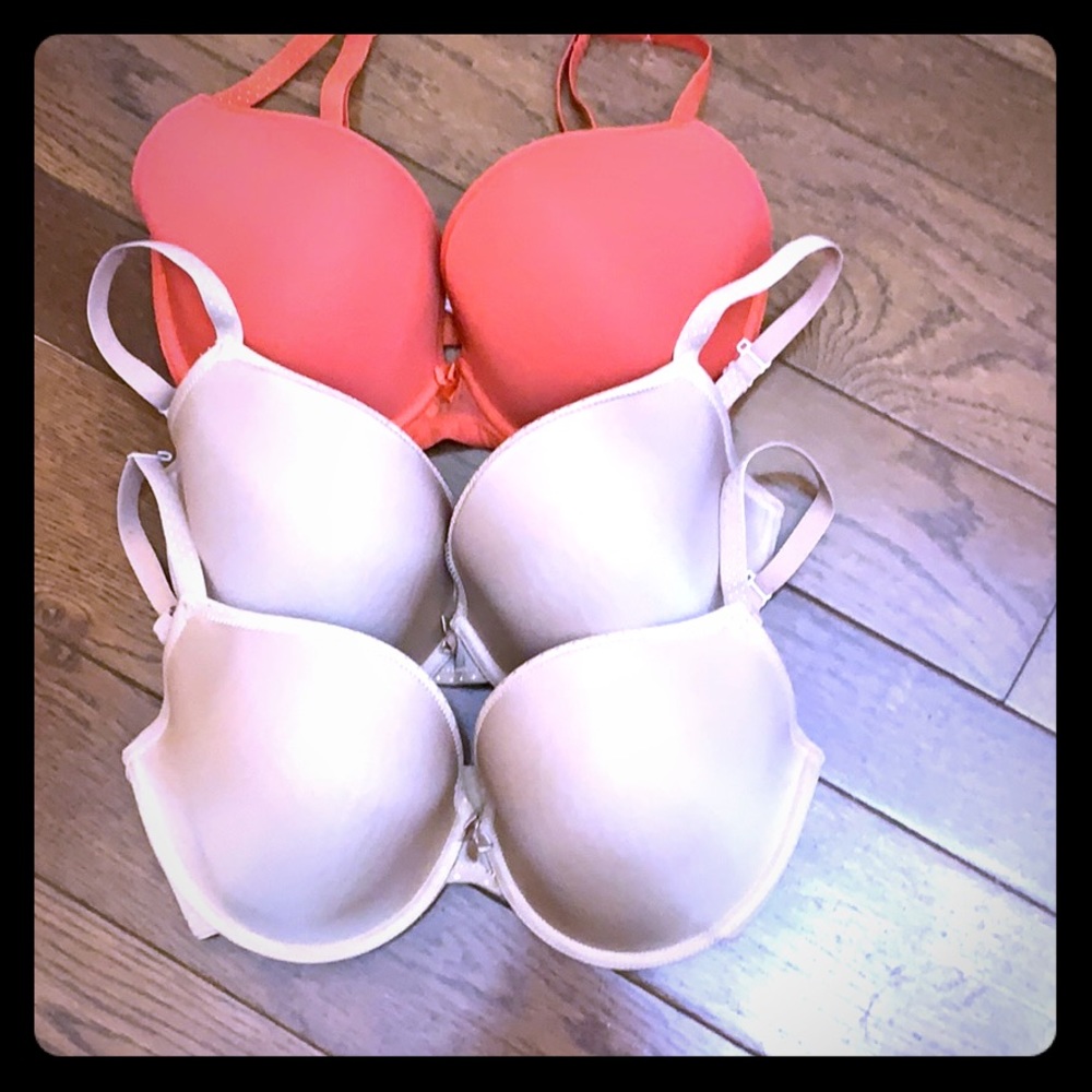 Set of 3 Cleo by Panache Koko Molded Cup bras
